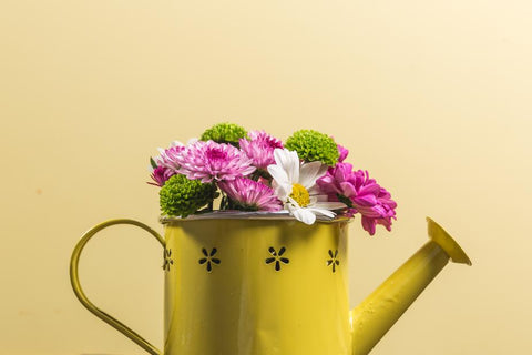 Copy of Yellow watering can